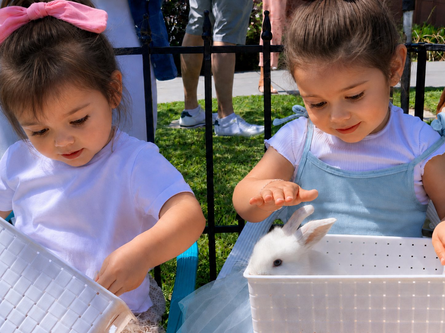 Children meeting a white bunny at a Bonza petting zoo setup